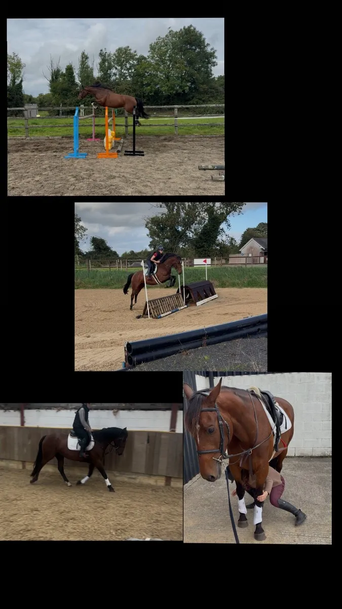 Stunning 4 year old my atomic cruise - Image 1