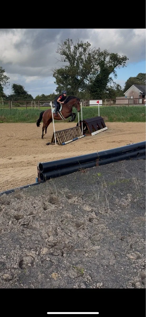 Stunning 4 year old my atomic cruise - Image 3