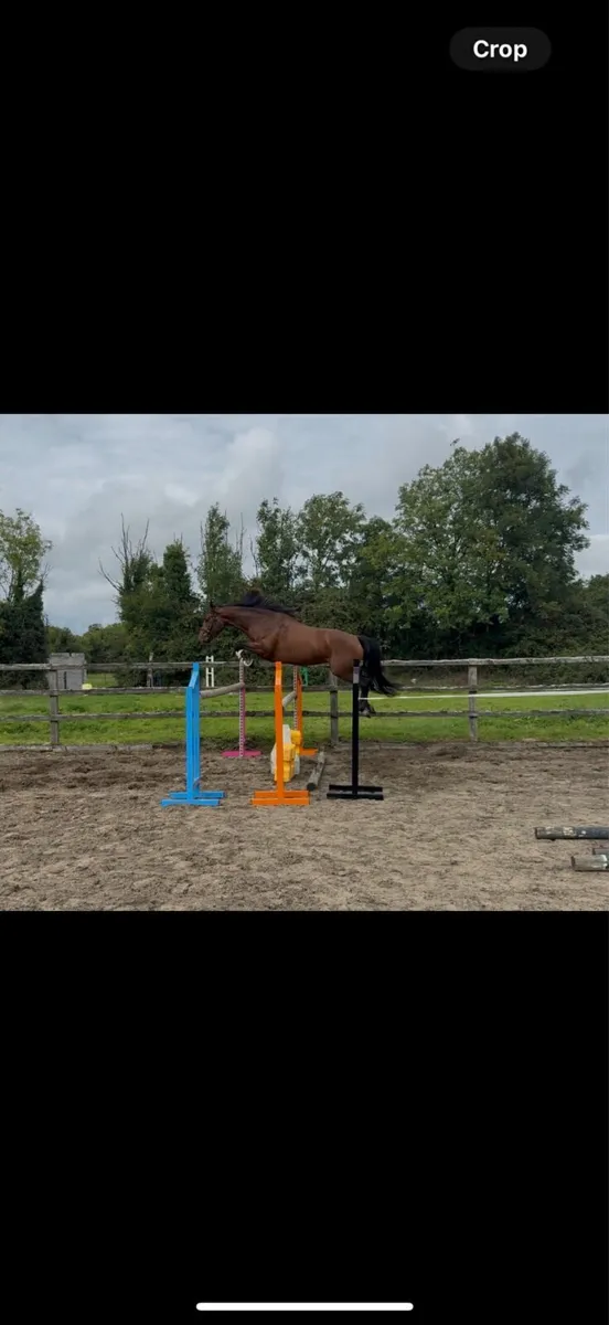 Stunning 4 year old my atomic cruise - Image 2