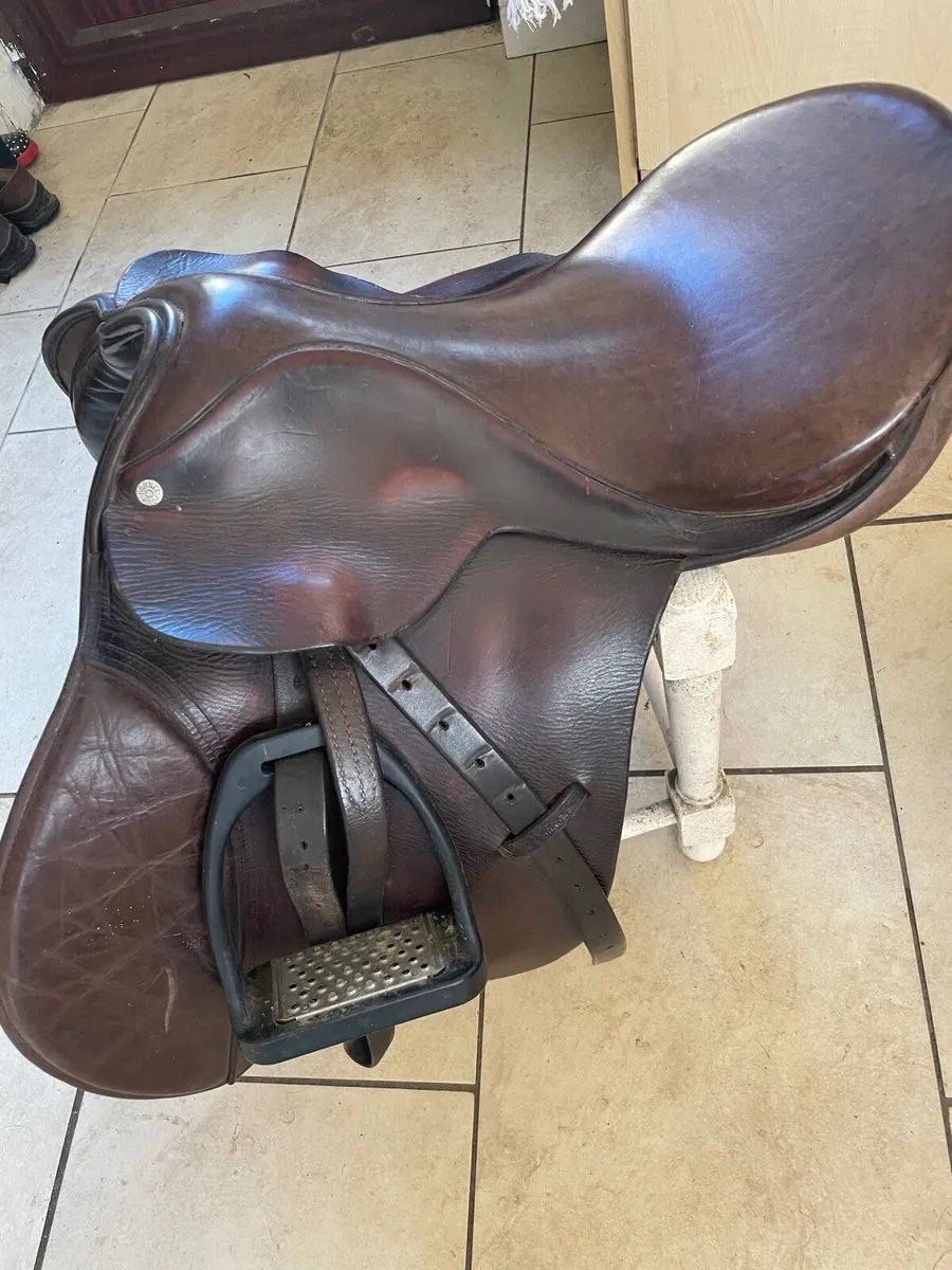 Berney saddle - Image 3
