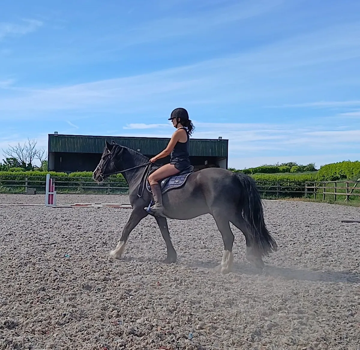 15H COB FOR LEASE