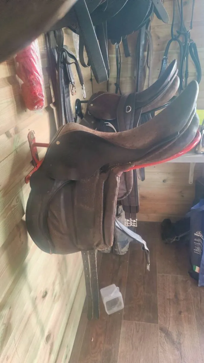17inch Beeney Bros Saddle Brown - Image 2