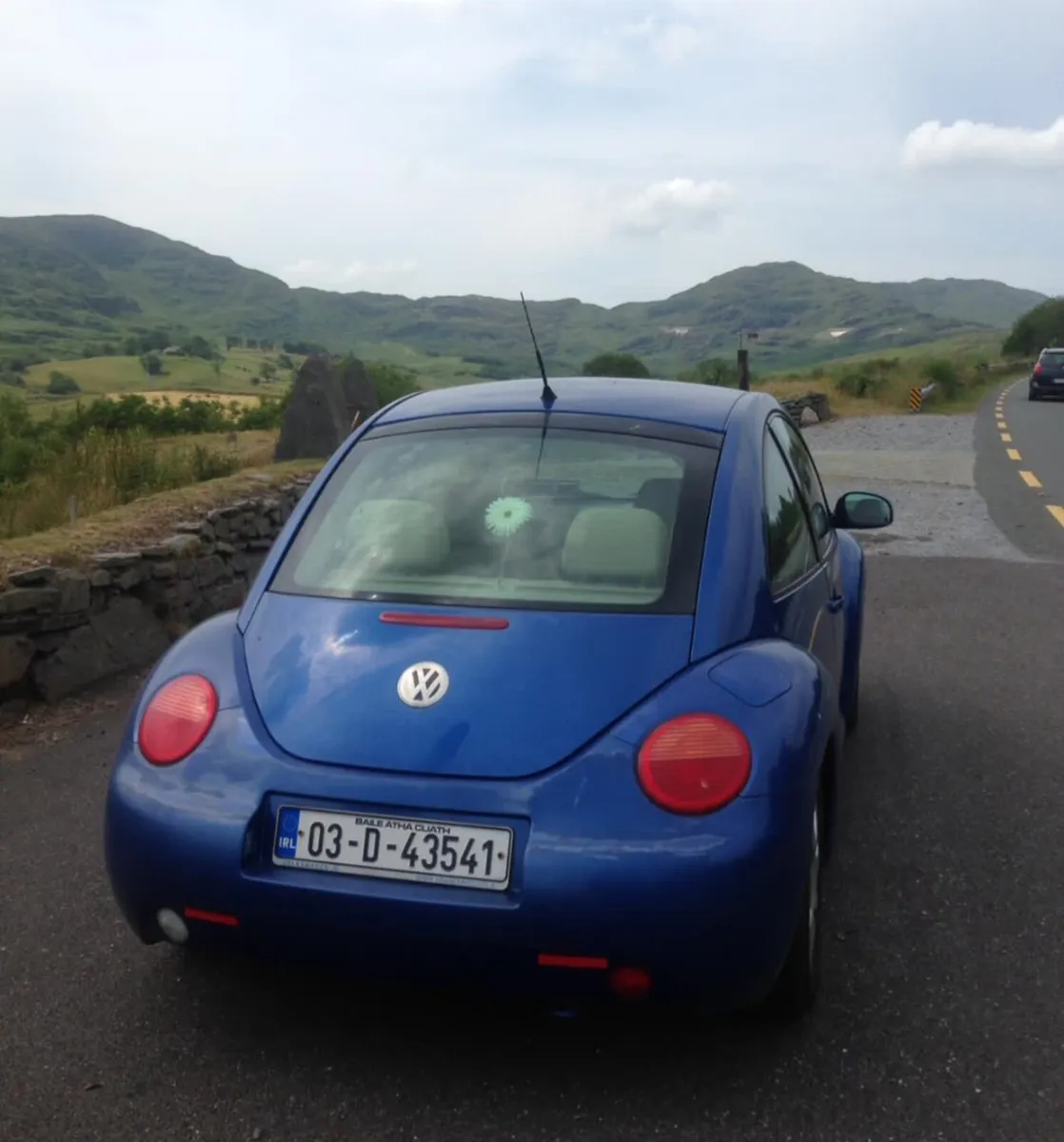 Volkwagen Beetle - Image 2