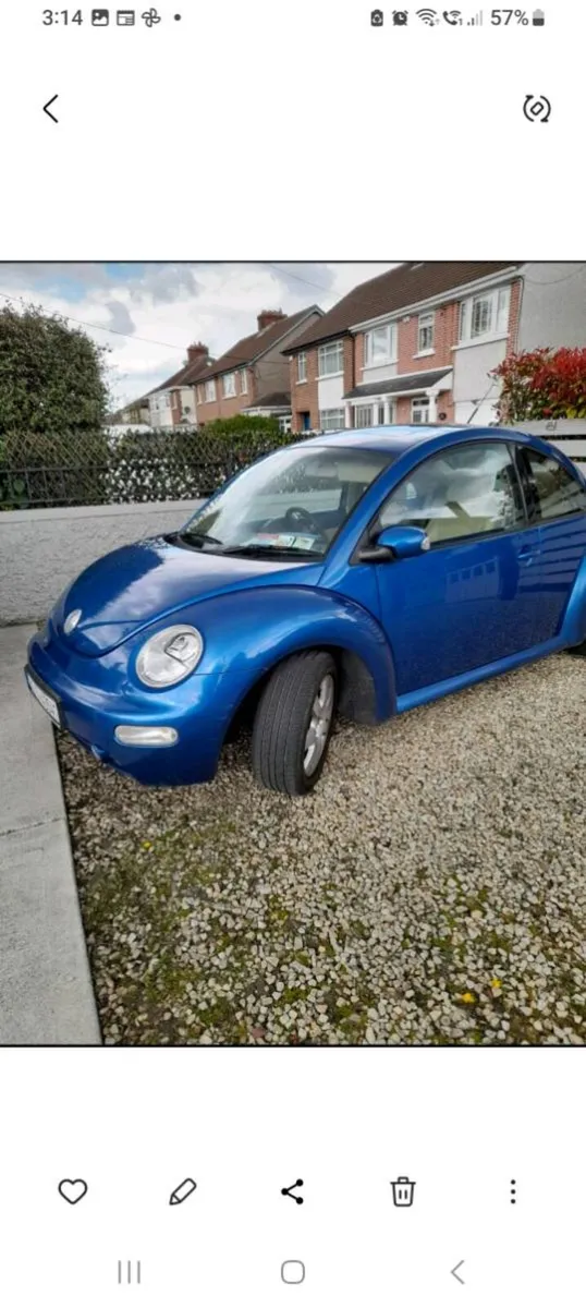 Volkwagen Beetle - Image 3