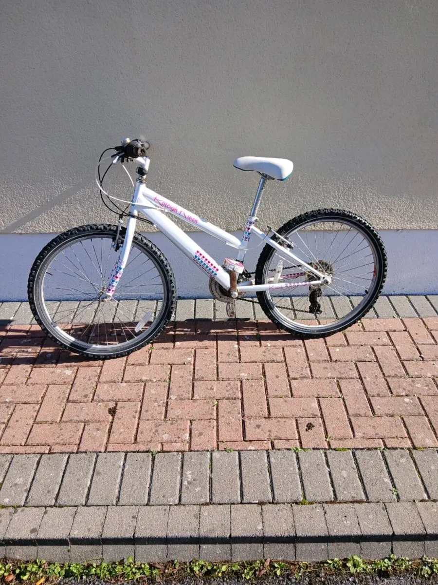 Bike - Image 4