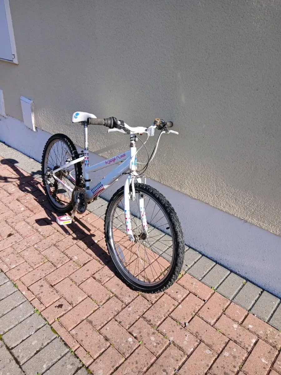Bike - Image 1