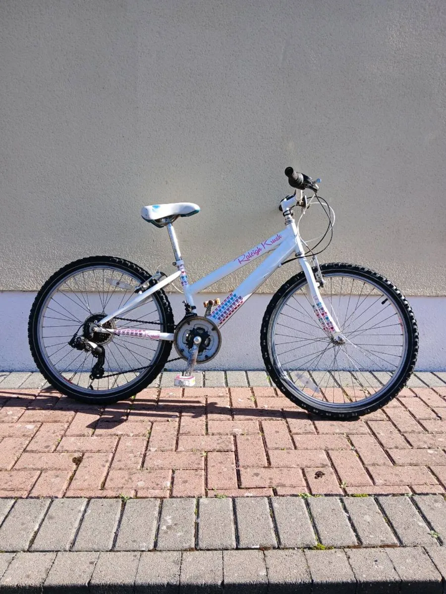 Bike - Image 2