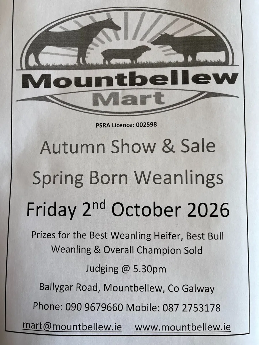 Weanling Show & Sale - Mountbellew Mart