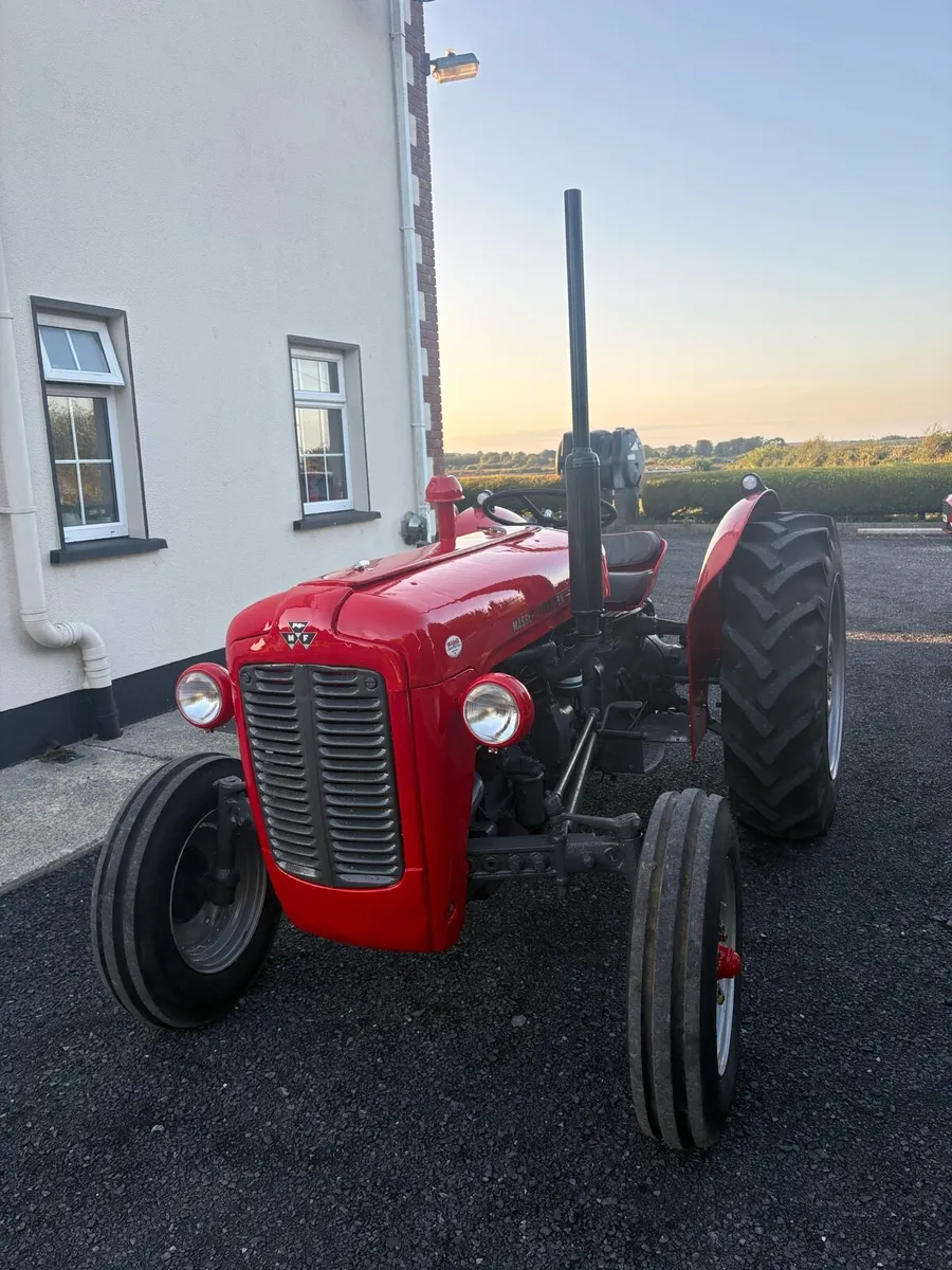 Massey Ferguson 35 - Image 3