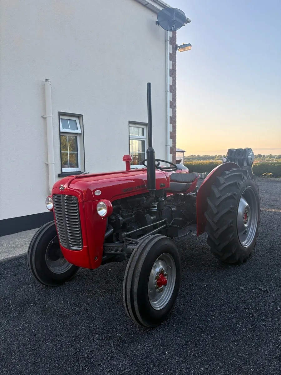 Massey Ferguson 35 - Image 2