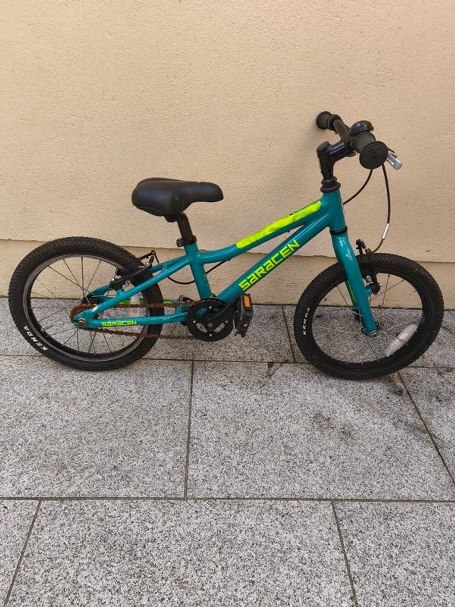 Ridgeback MX20 and Saracen Mantra 1.6 - Image 3