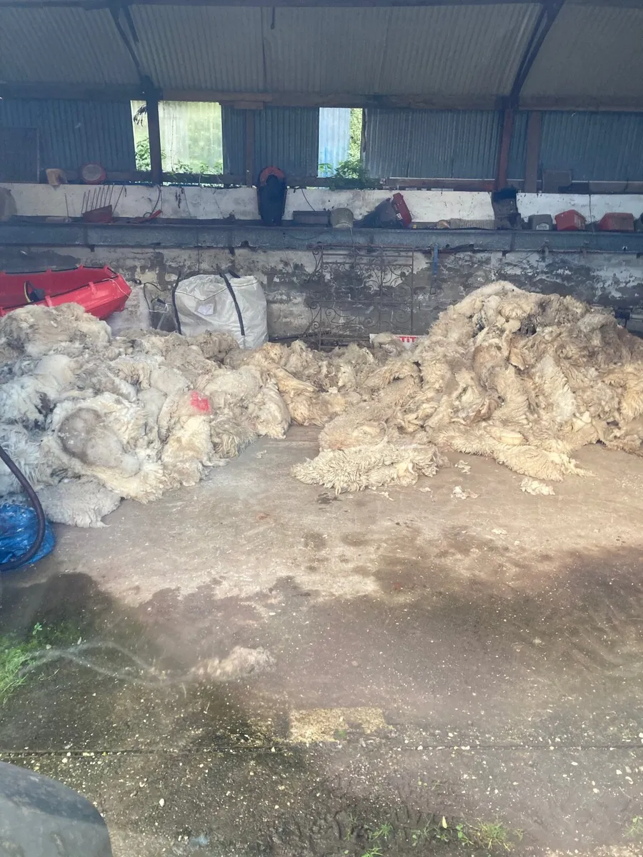 Free wool