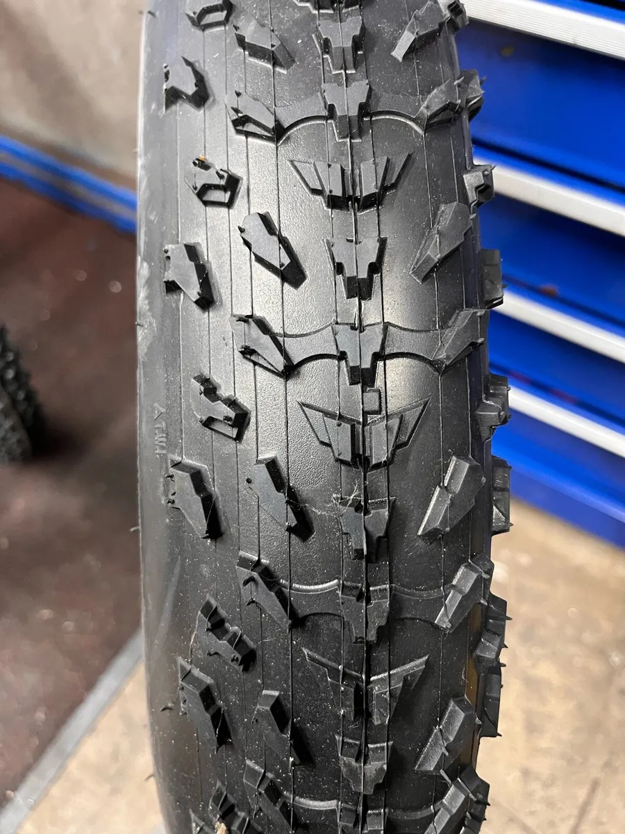 20” Fat Tyre - Image 1