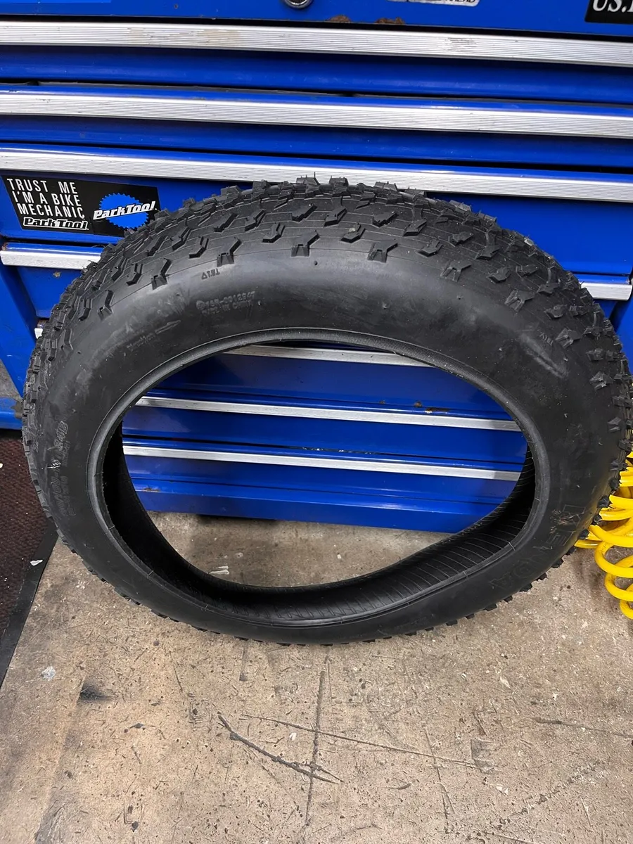 20” Fat Tyre - Image 2