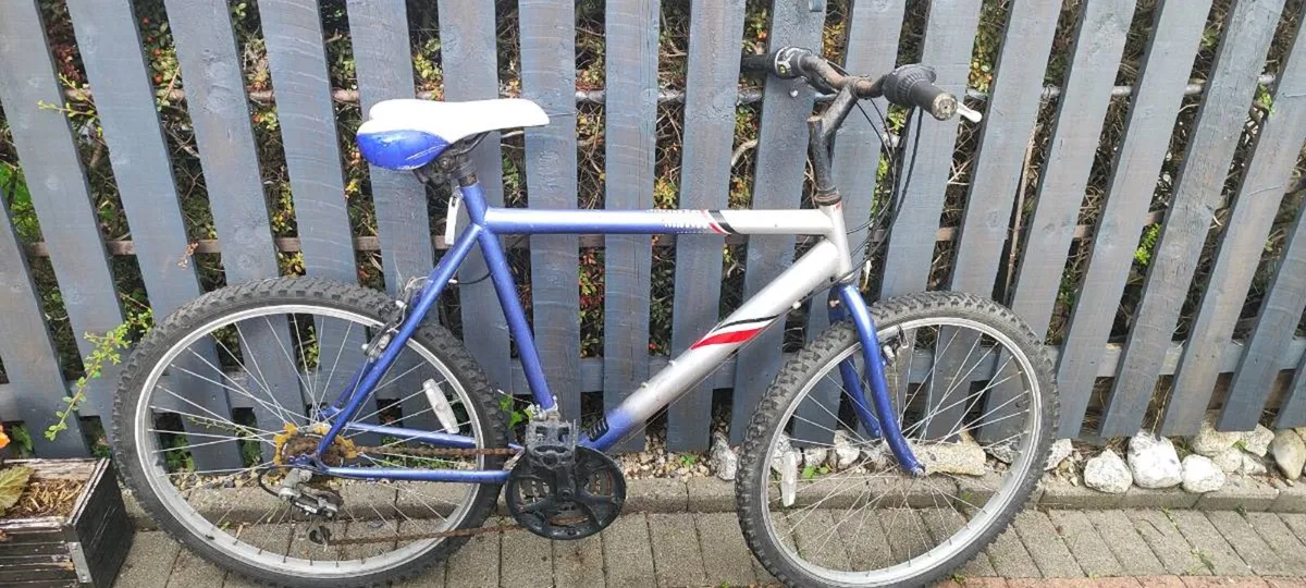 Mountain bike