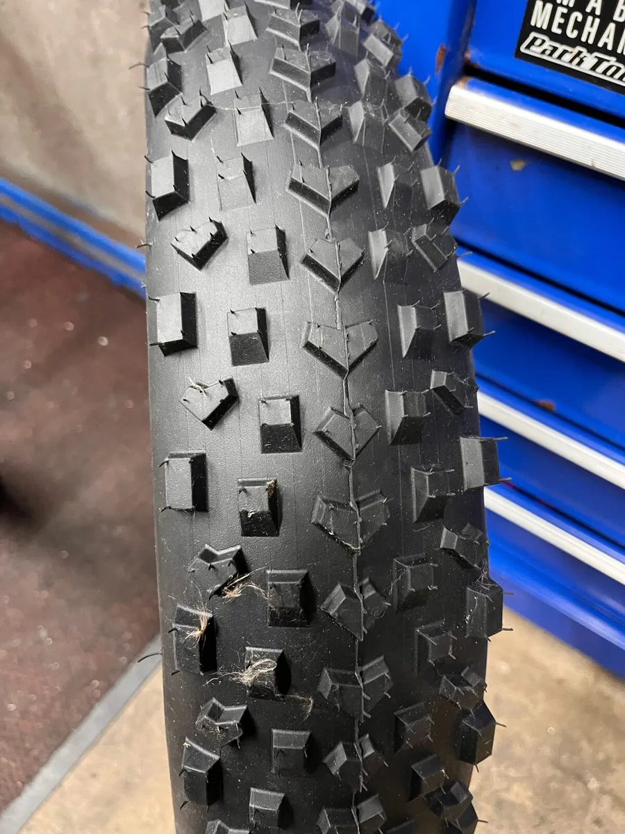 20” Fat Tyre - Image 1