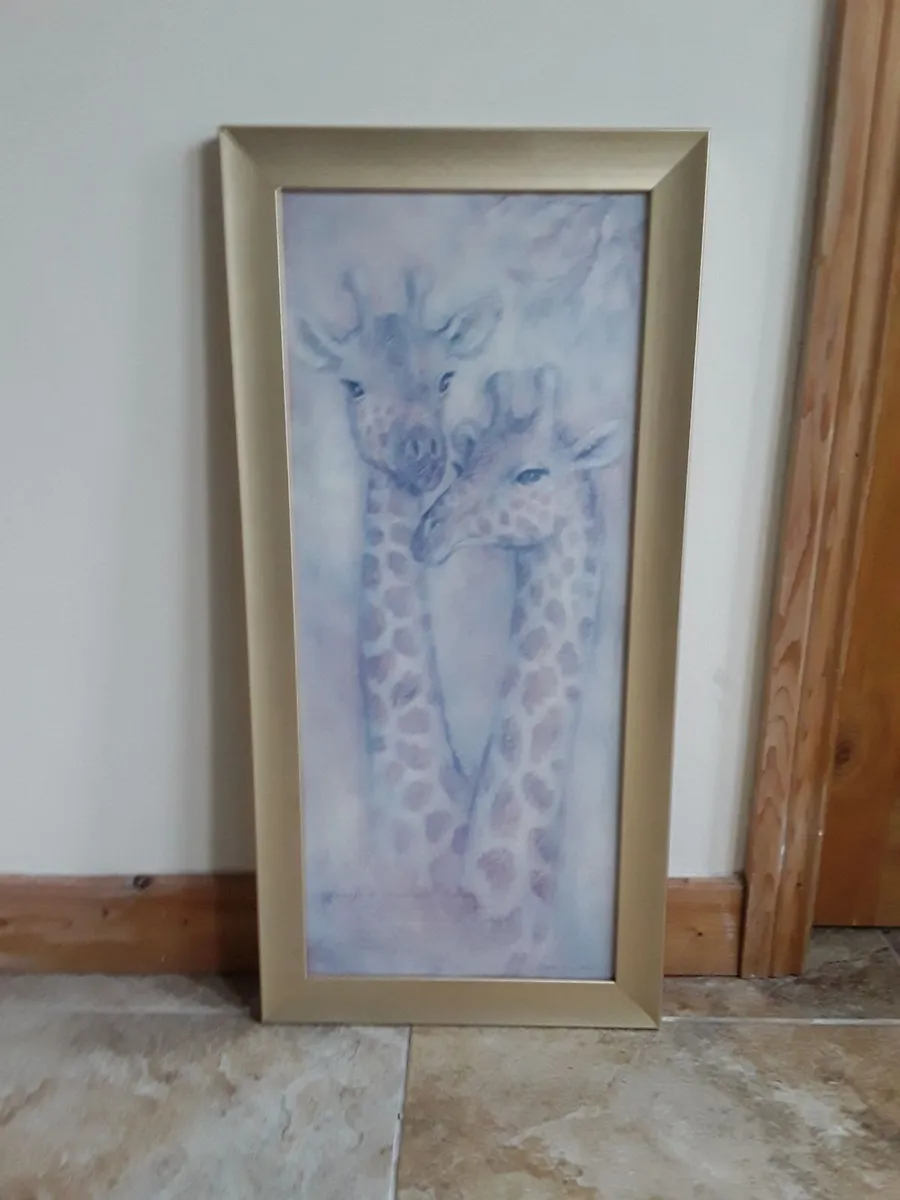 Nice long picture of two giraffes - Image 3