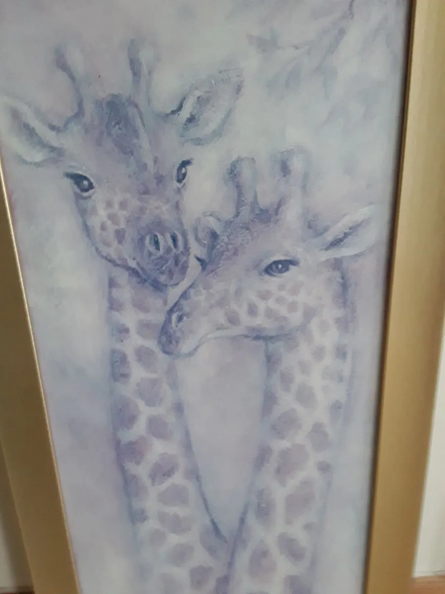 Nice long picture of two giraffes - Image 1