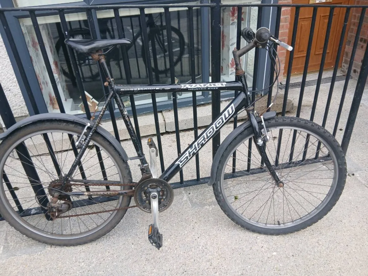 ADULTS BIKE - Image 1