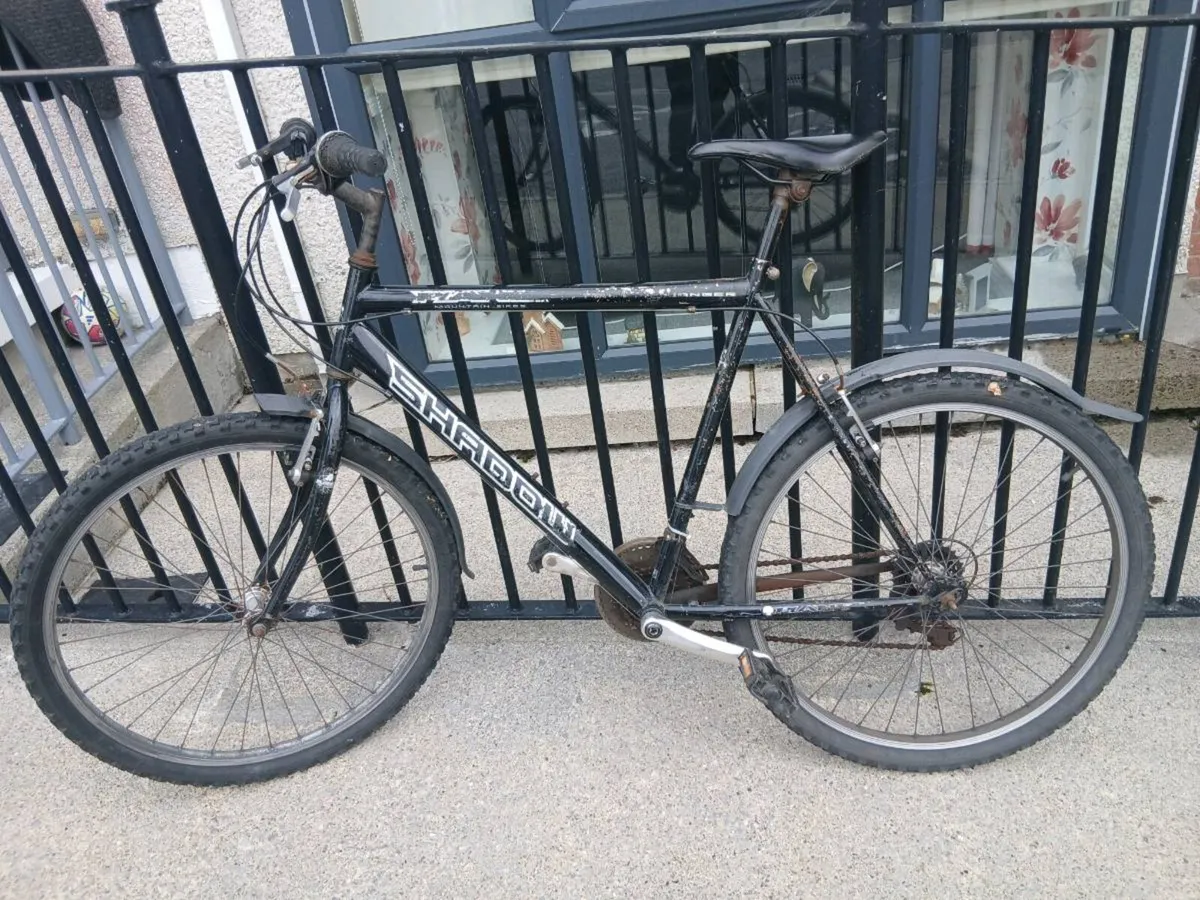 ADULTS BIKE - Image 3