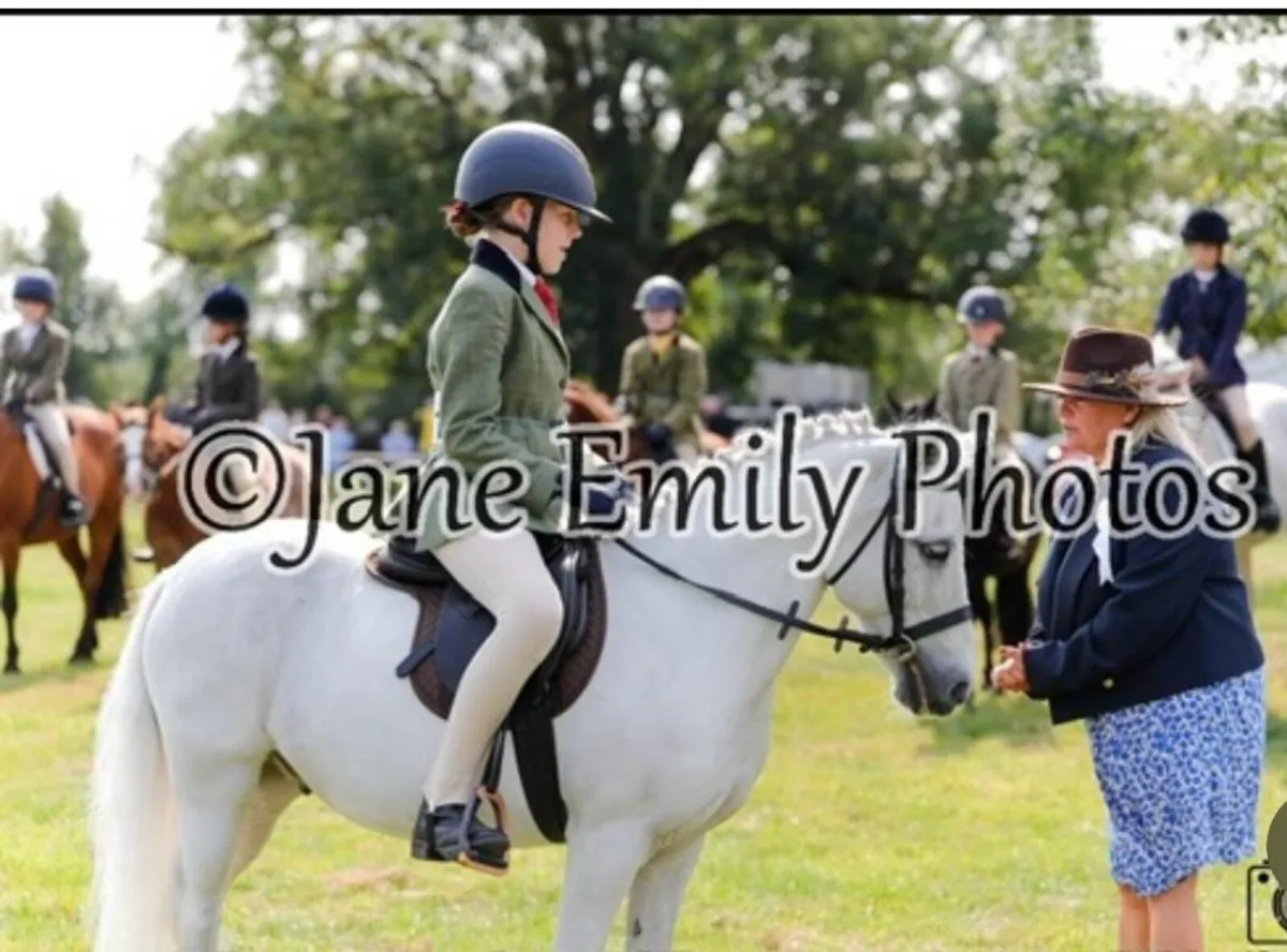 A pony - Image 1