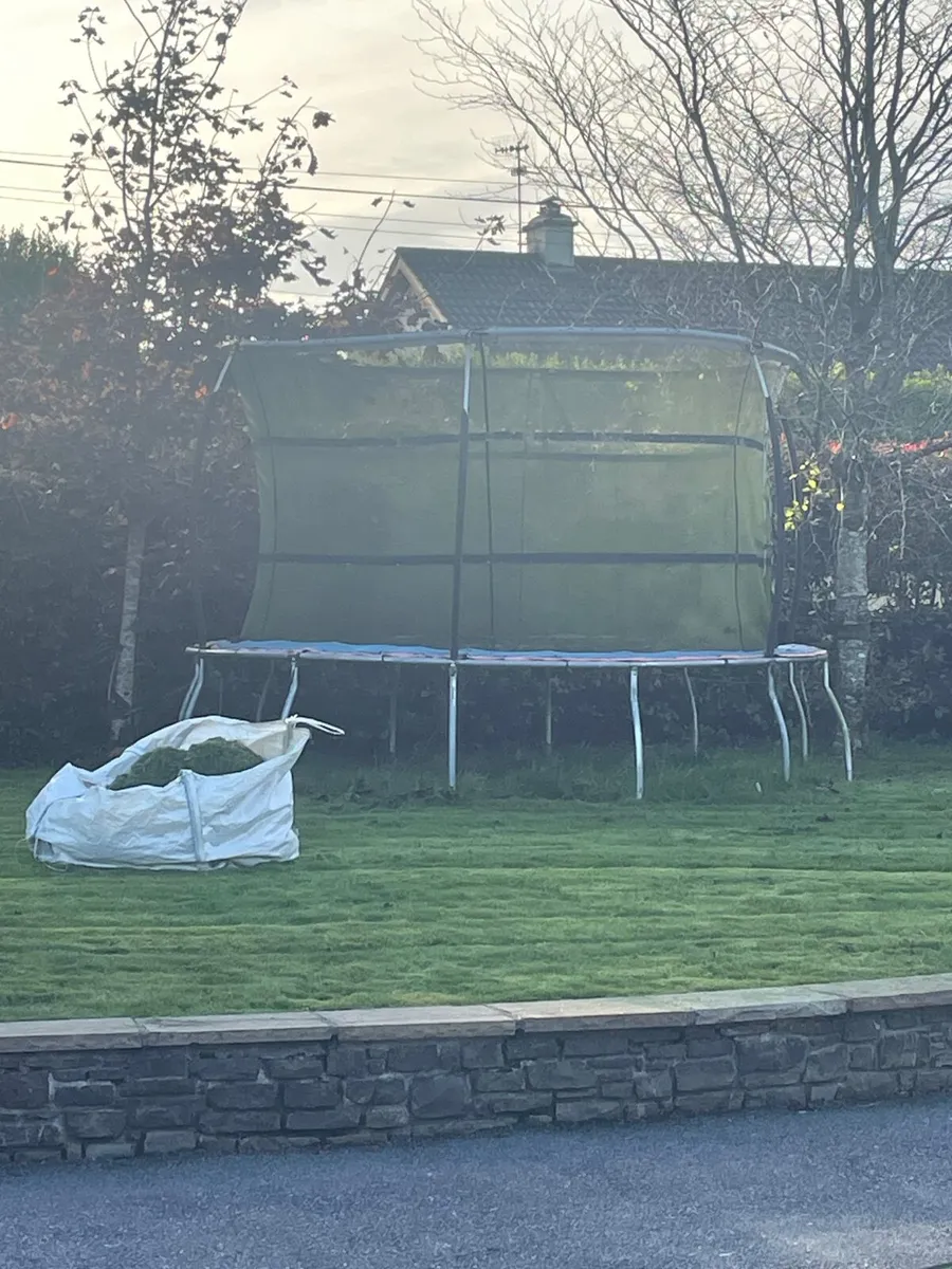 Trampoline - Image 3