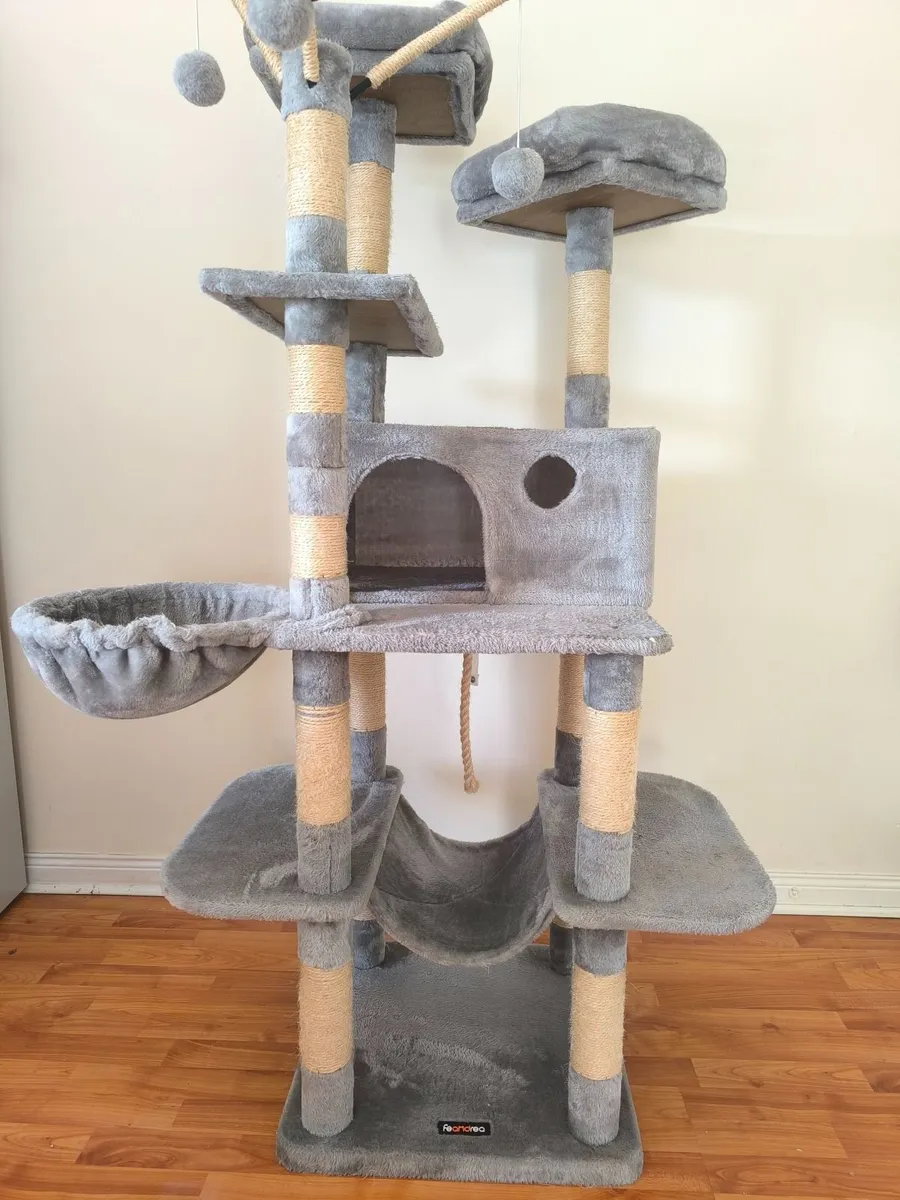 cat scratching tree