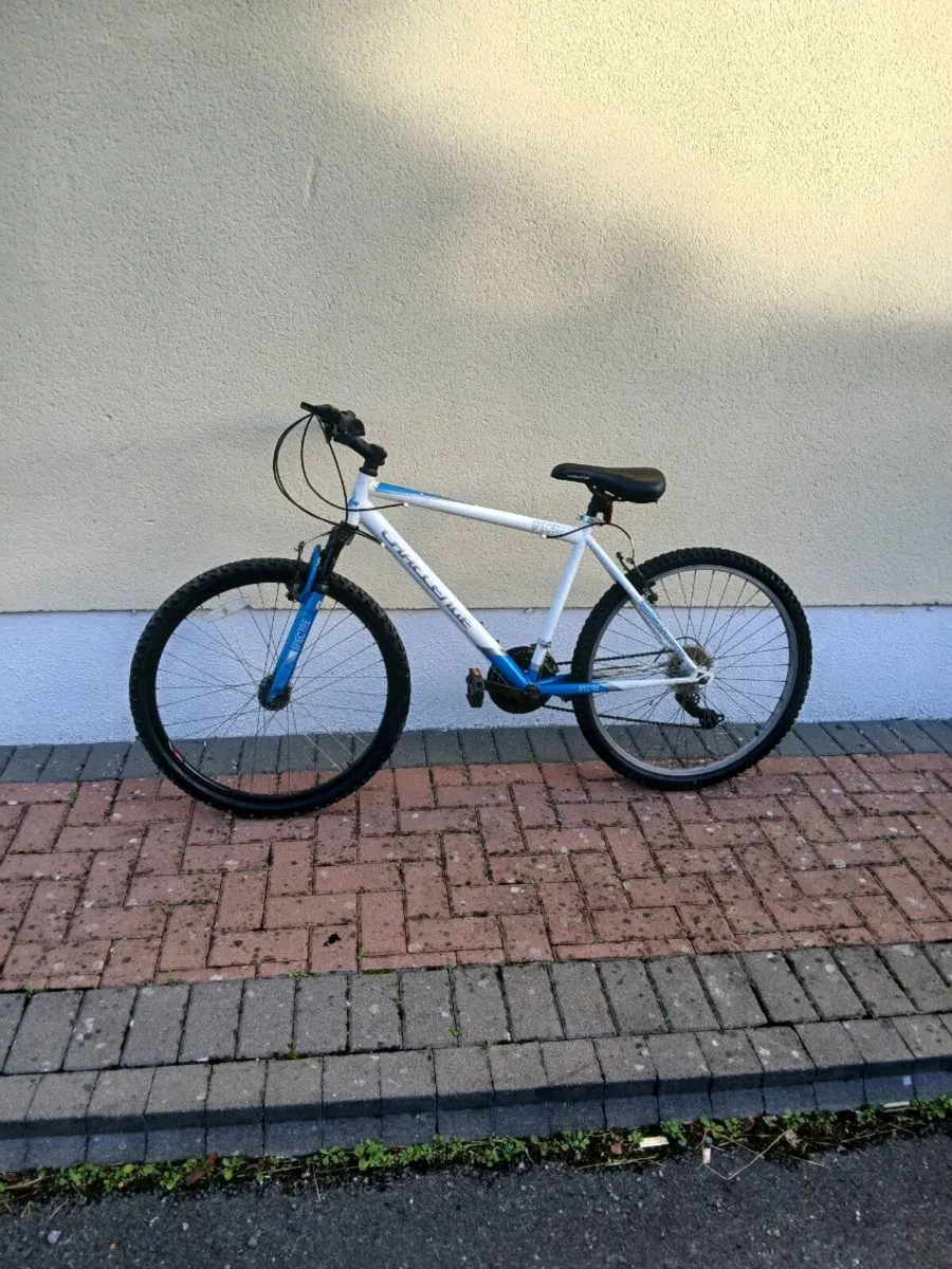 Mountain bike - Image 1
