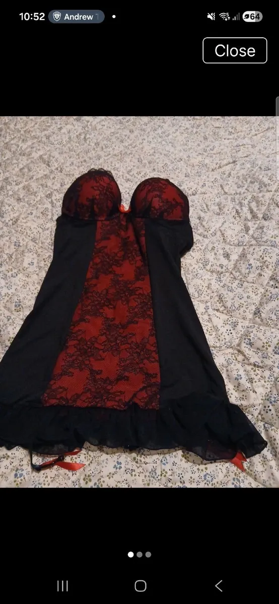 Ann Summers basque