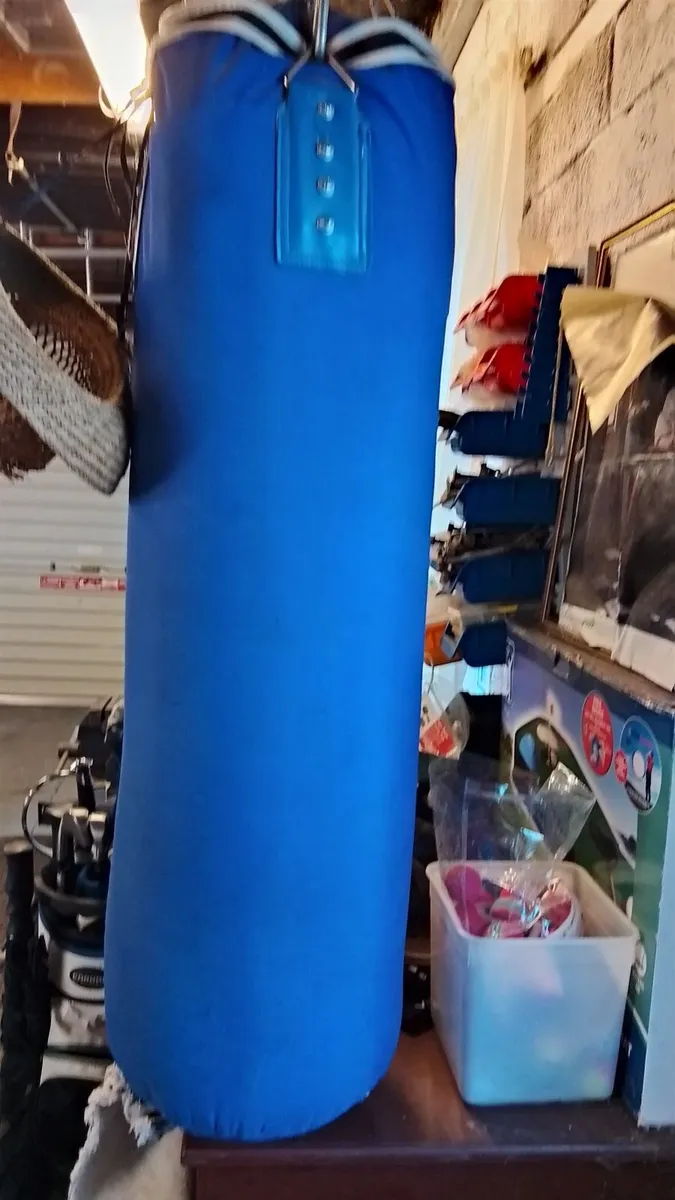 Punching bag - Image 1