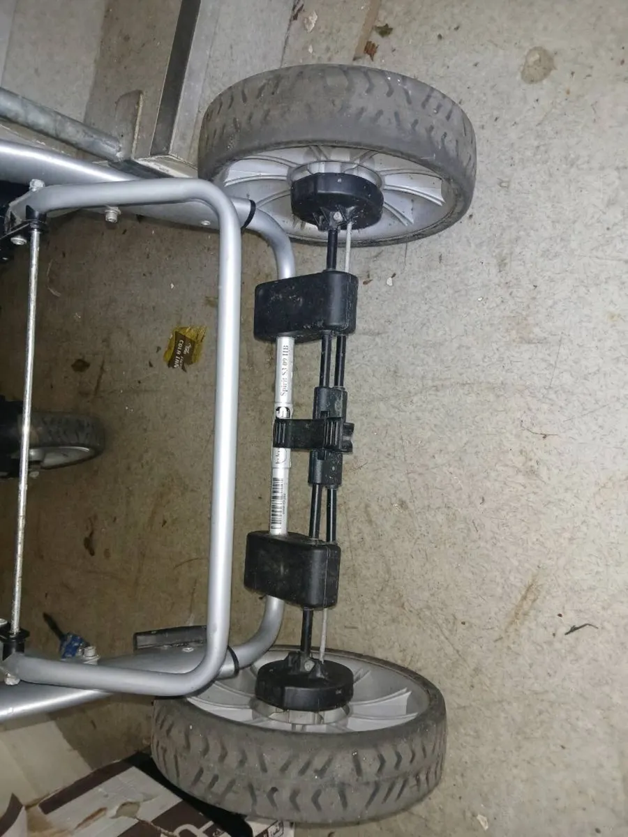 buggy - Image 3