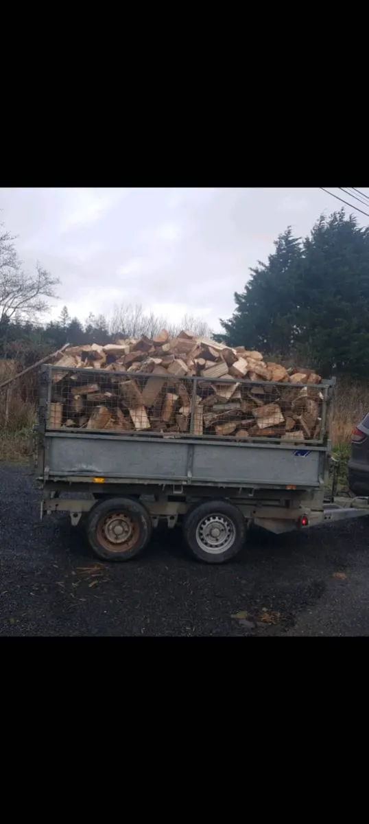 Firewood - Image 1