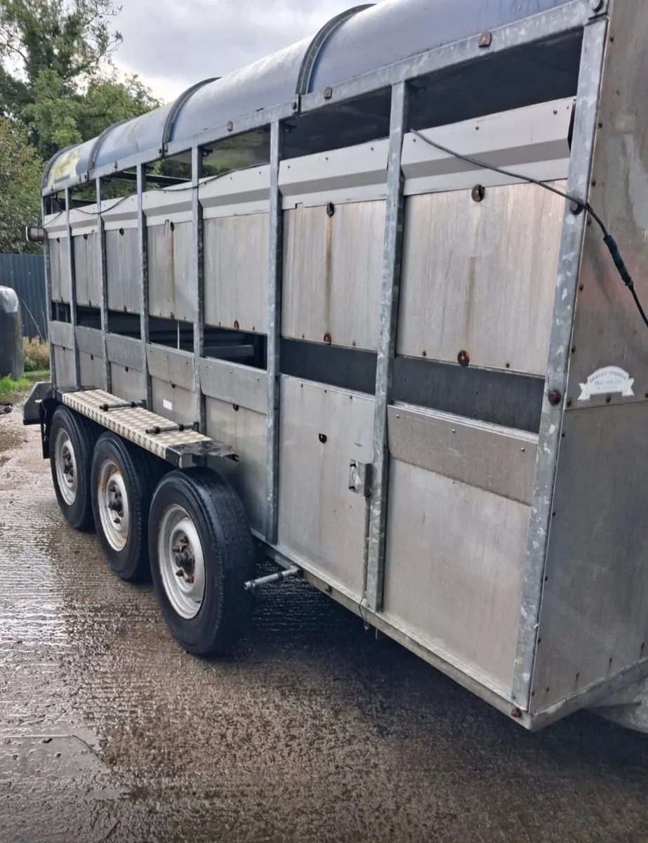 Cattle Trailer Tri Axel for Sale - Image 1