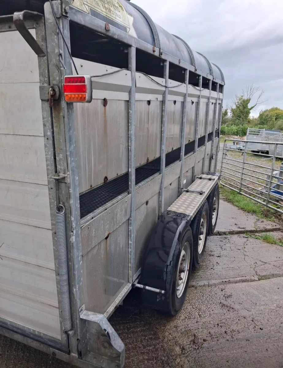 Cattle Trailer Tri Axel for Sale - Image 3