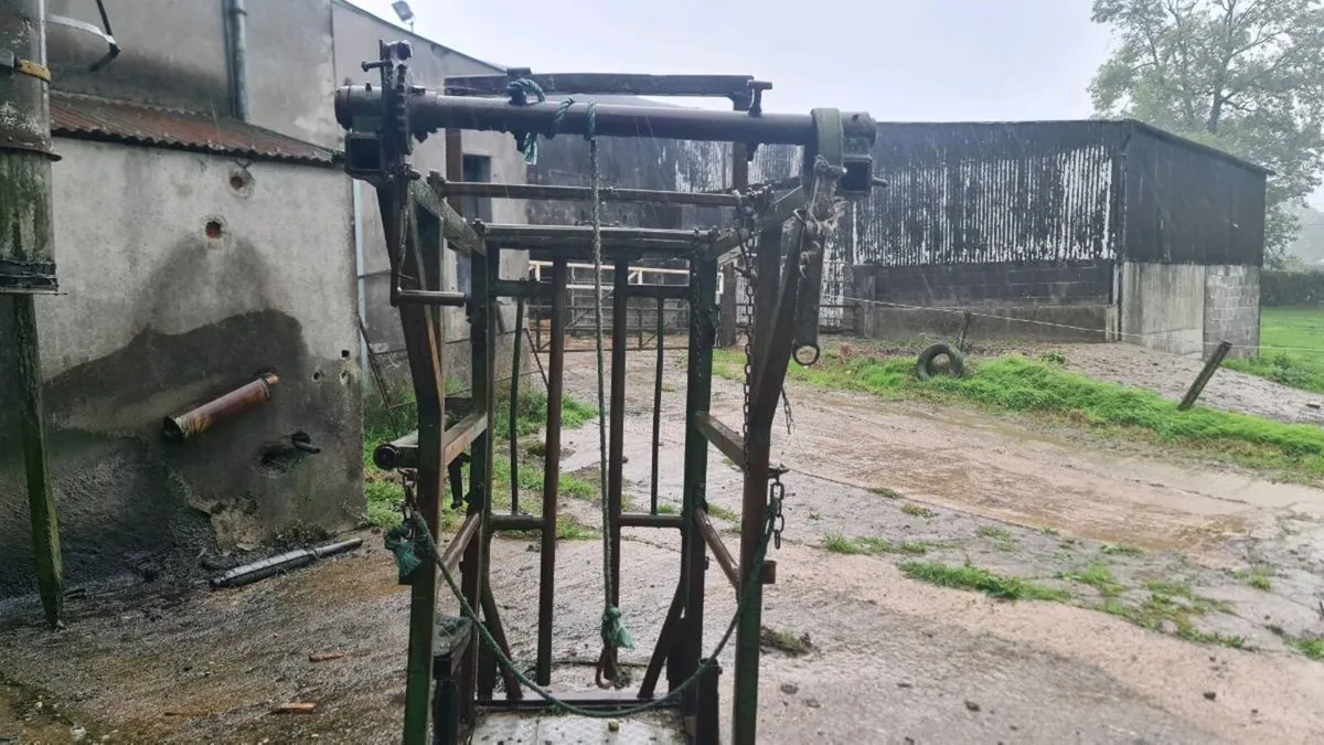Hoof crate - Image 4