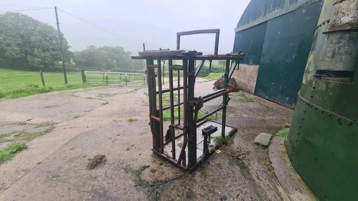 Hoof crate - Image 1