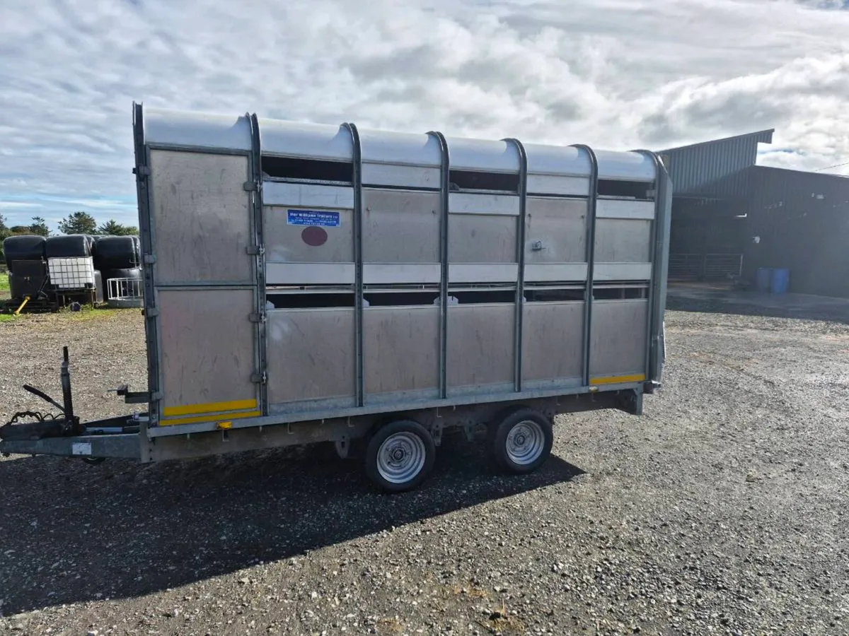 Ifor William's 12×6ft cattle and sheep box - Image 2