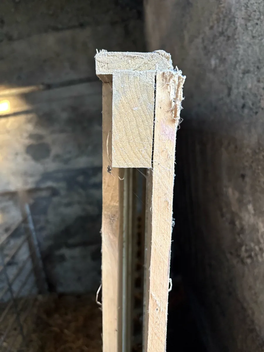 Timber Fence Panels - Image 2