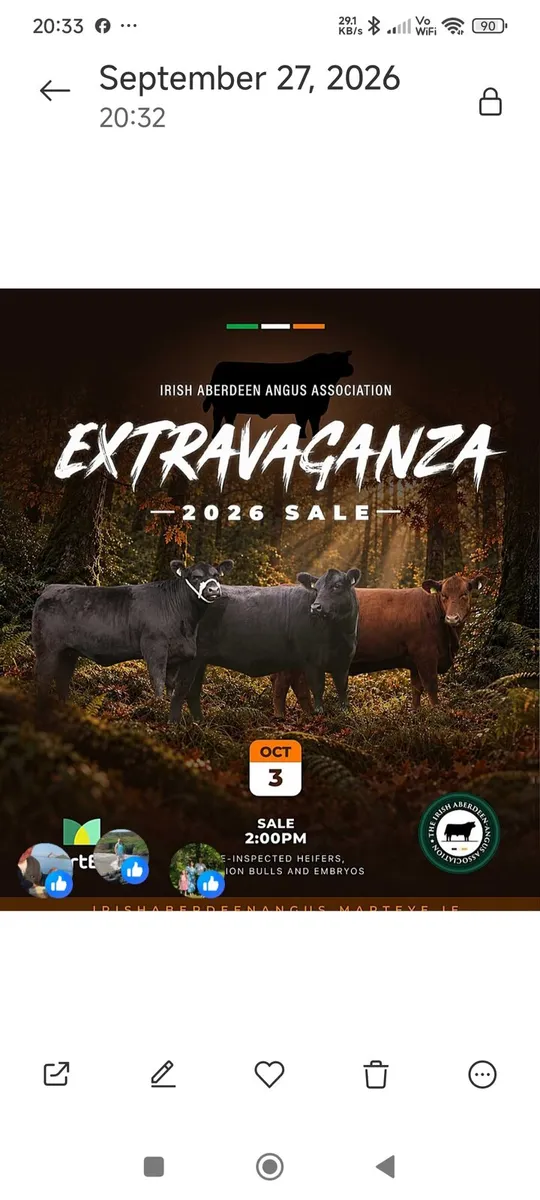 Extravaganza 2026 October 3rd - Image 4