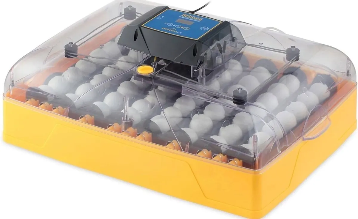 Incubator