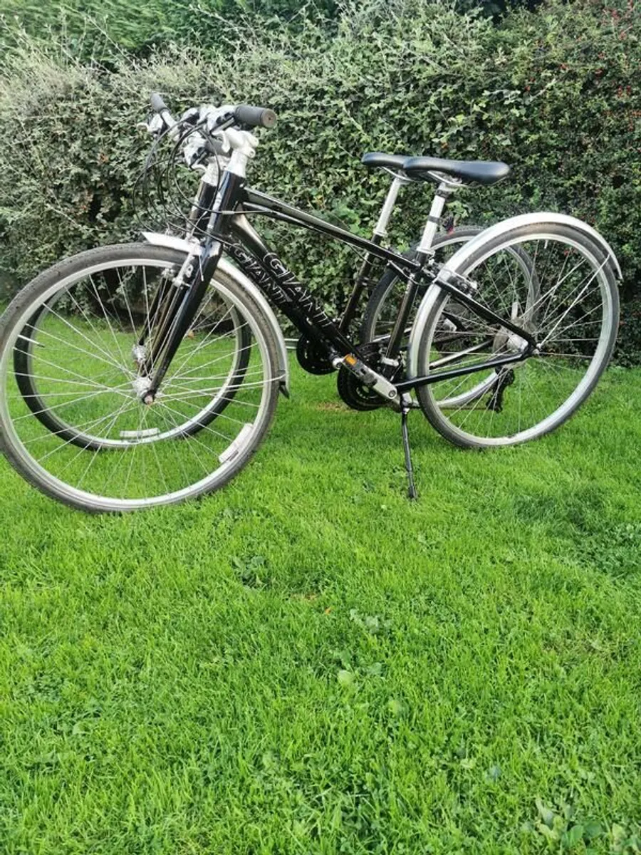 Shed clearance of 4 bikes - Image 1