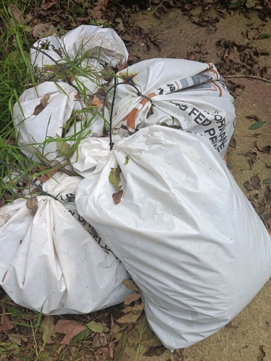 5 Bags Hen Manure - Free - Image 1