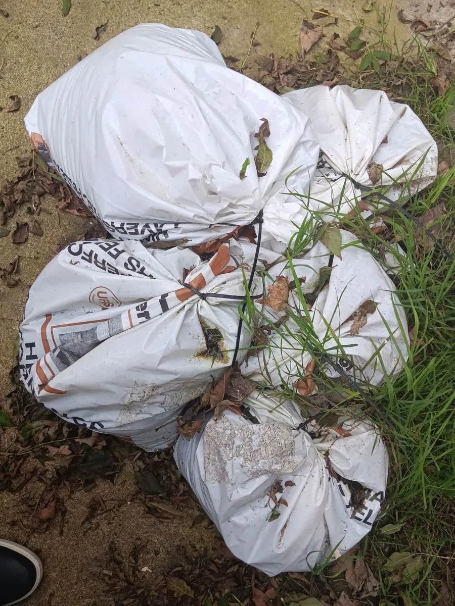 5 Bags Hen Manure - Free - Image 2