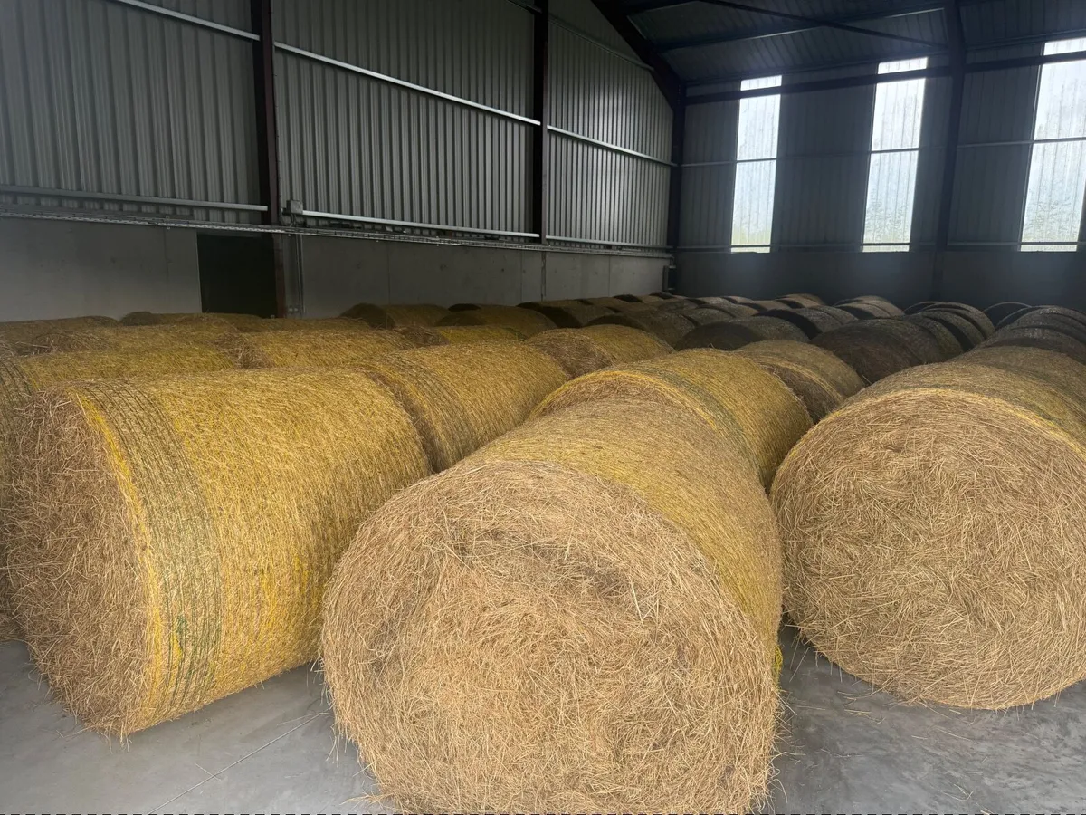 Hay/silage . - Image 1