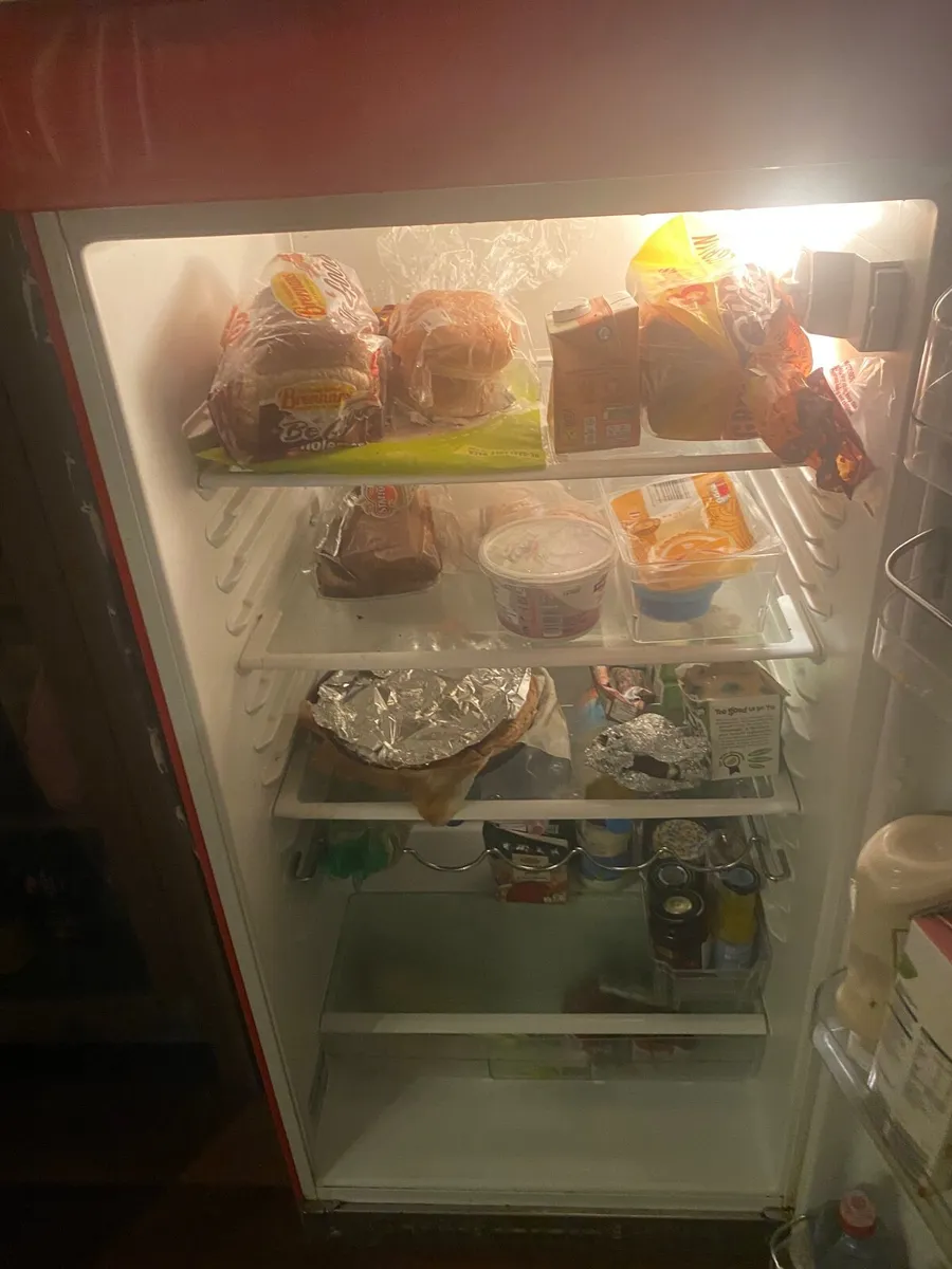 Smeg fridge freezer - Image 3