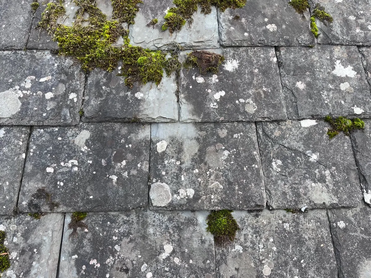 Roof slates - Image 2