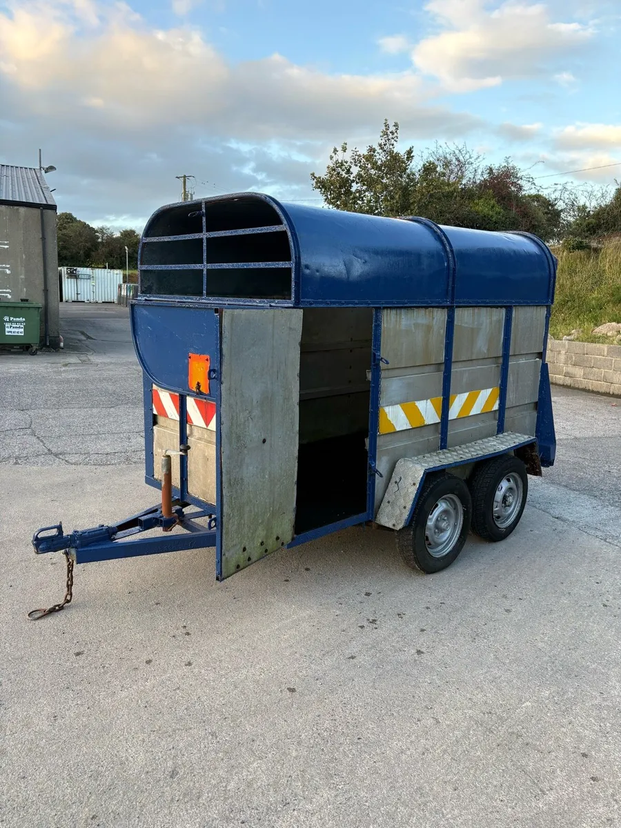 8x5 cattle Tralire - Image 3