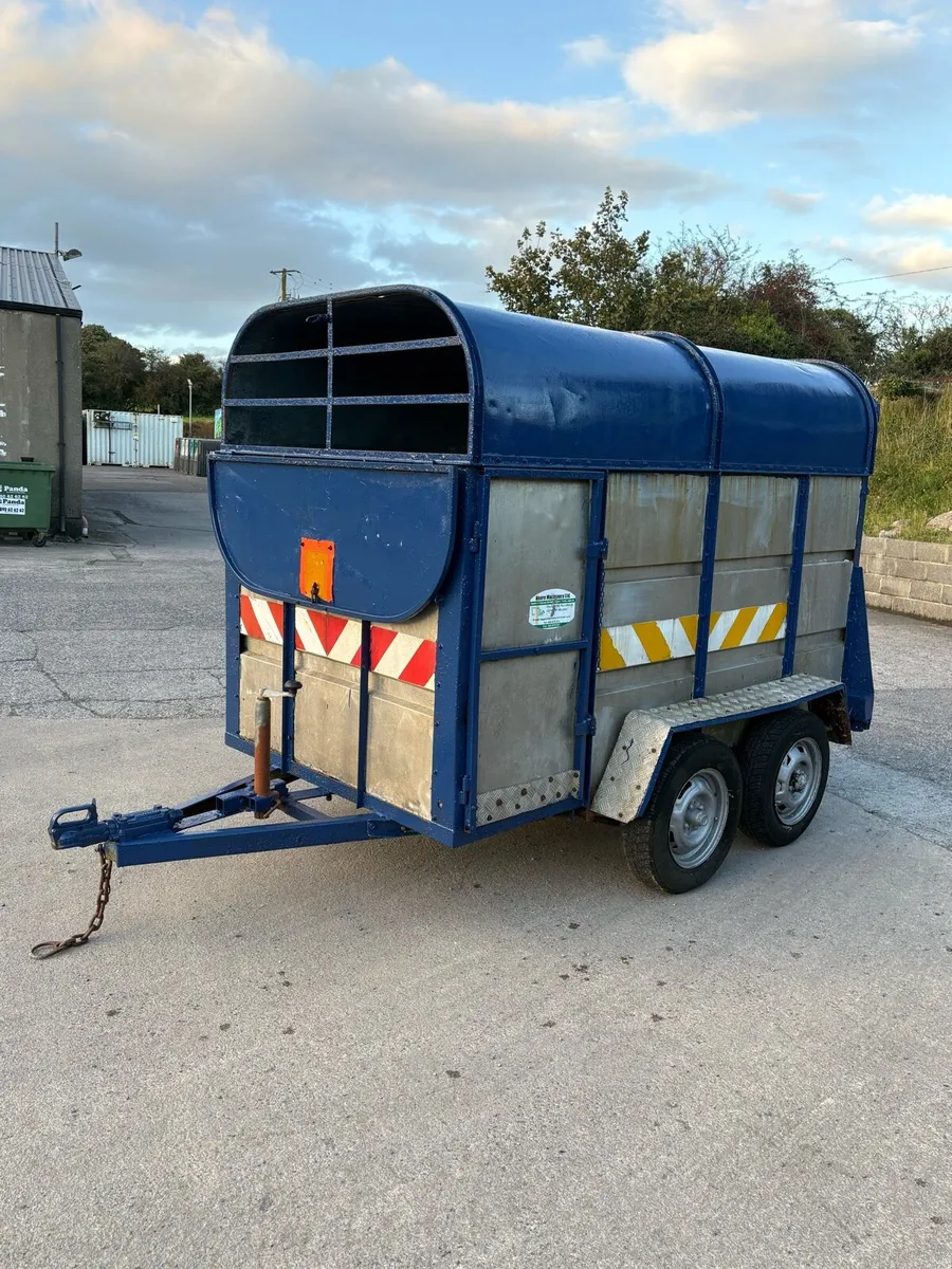 8x5 cattle Tralire - Image 1