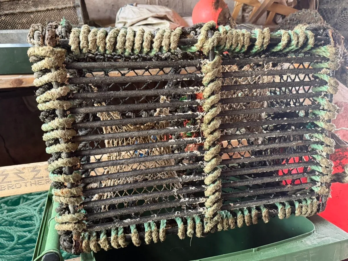 Lobster pots - Image 3