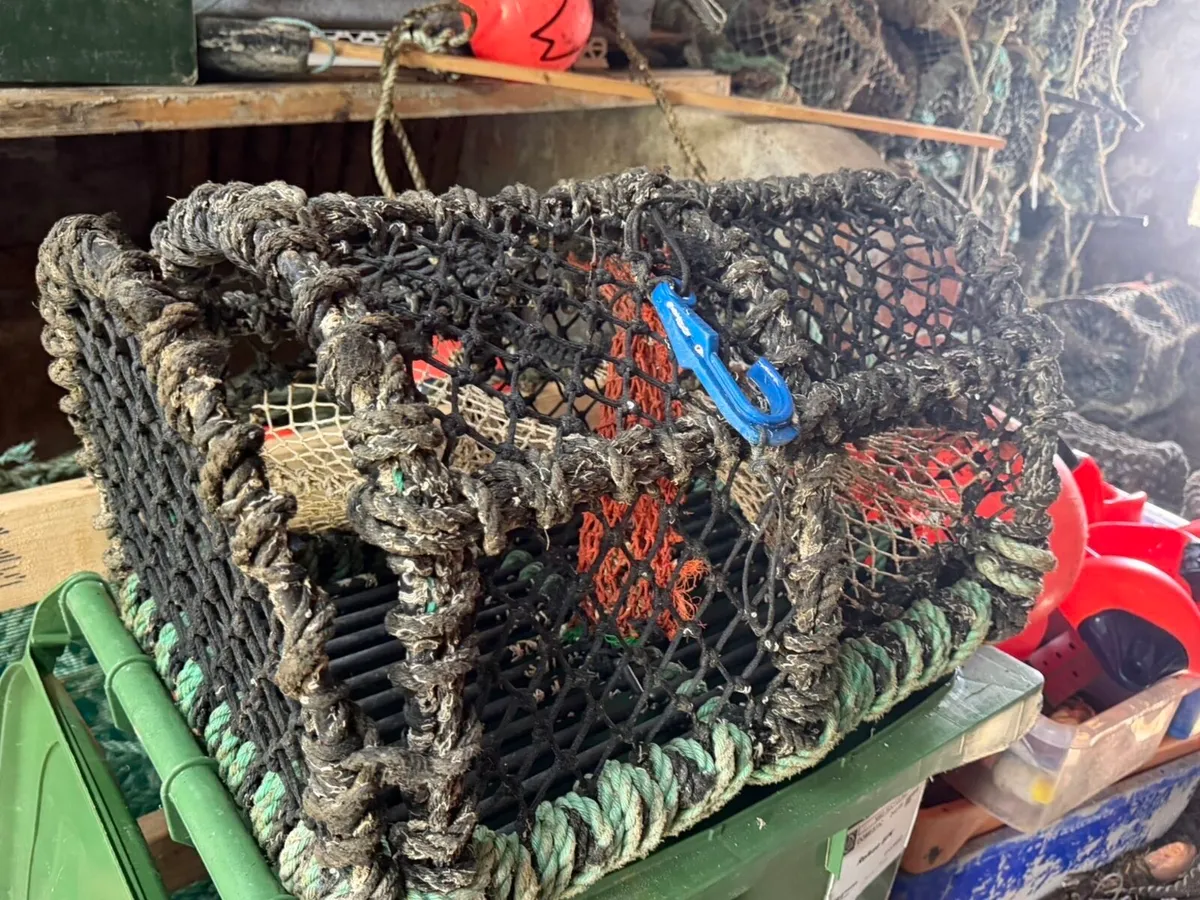 Lobster pots - Image 4